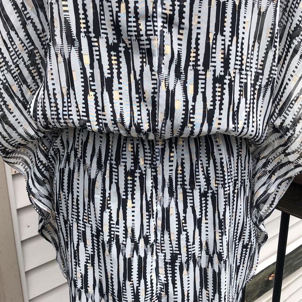Express Sheer Summertime Dress - Picture 11 of 14